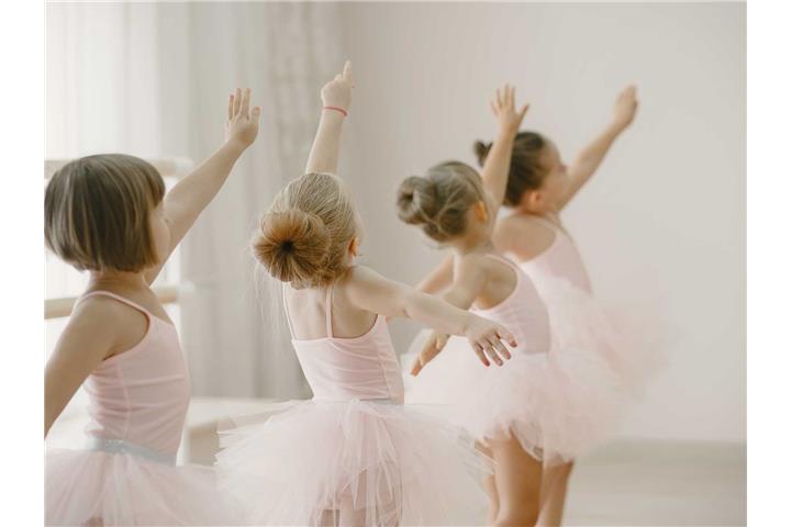 INSERT YOUR TITLE HERE